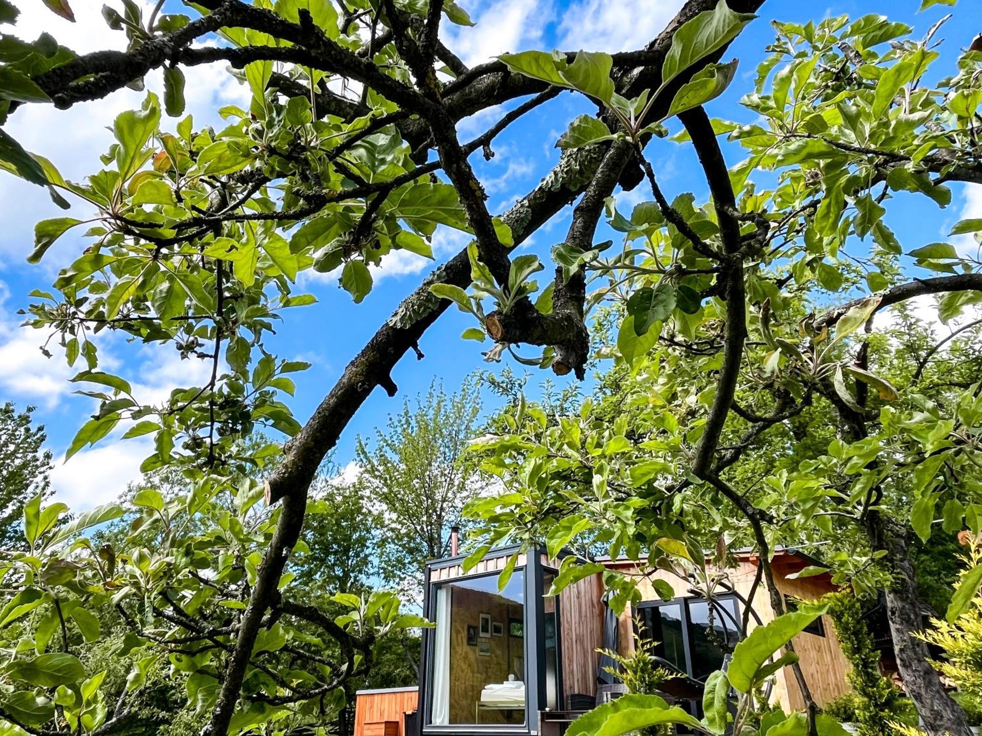 SaduElysian Fields - The Island Tiny House住宿加早餐旅馆 外观 照片